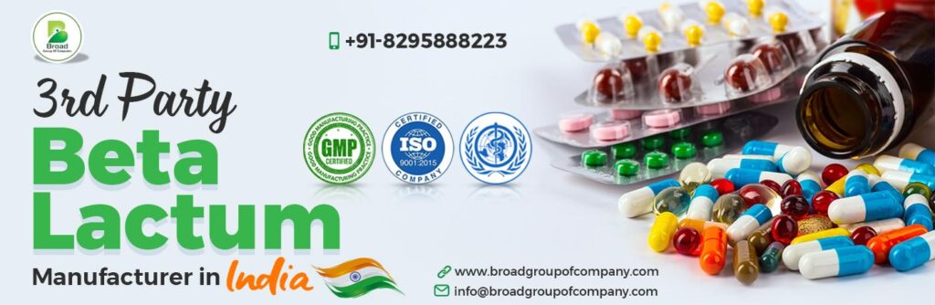 Give Some Information About The Properly Established Third Party Beta Lactam Manufacturer in India.